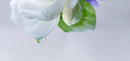 [Same Style as Ding Yuxi] Fennong Fino Thick Essence Red Cans Hair Mask Repair Moisturizing Reduce Broken Hair 230G